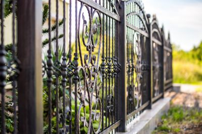 Elegant Iron Fences
